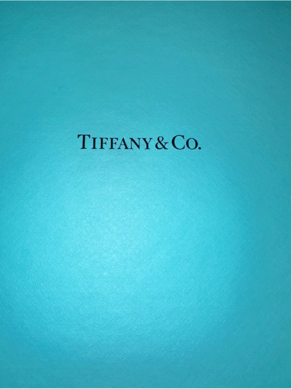 Tiffany & Co. Storage Box One Size Blue